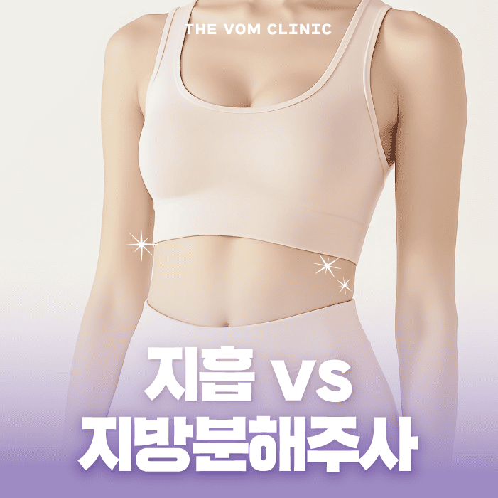 일산성형외과 지흡과 지방분해주사 어떤 차이가 있을까?